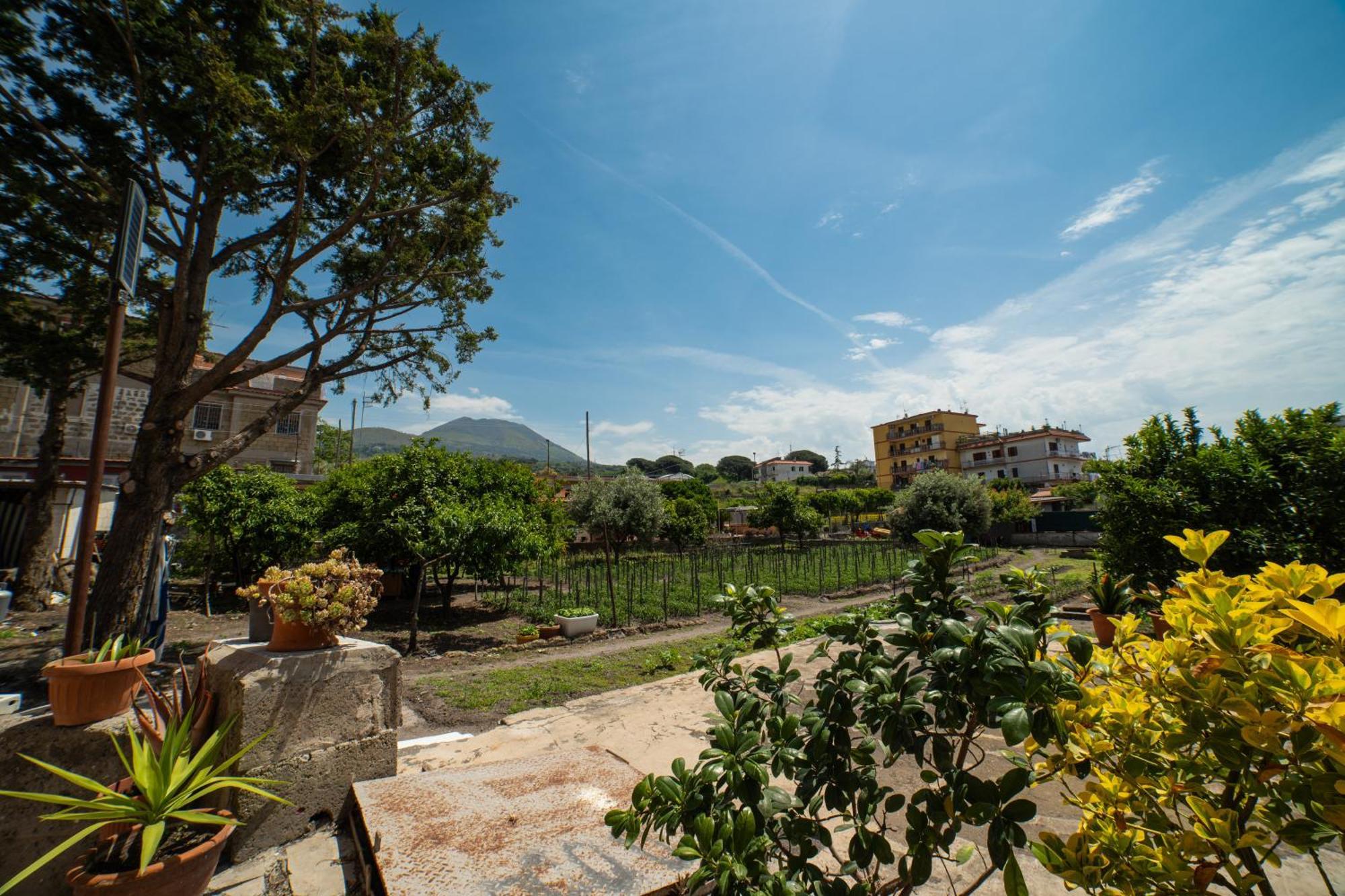 L'Orizzonte Bed and Breakfast Ercolano Buitenkant foto